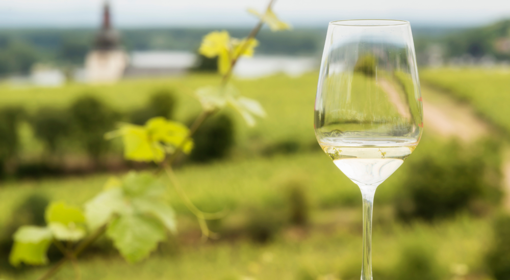 Riesling og Asparges - et af for�rets bedste match