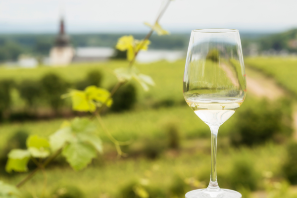 Riesling og Asparges - et af for�rets bedste match