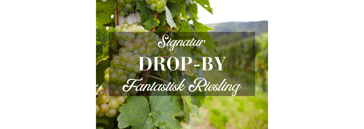 Signatur Drop-By: Fantastisk Riesling