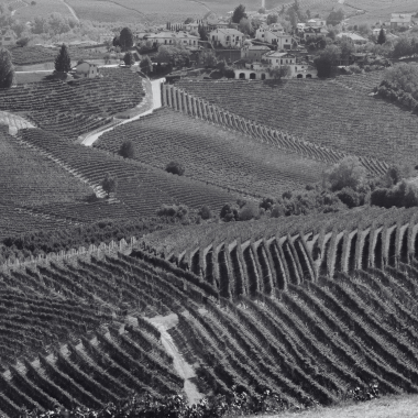 Piemonte