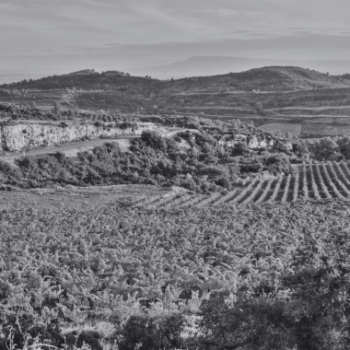 Languedoc