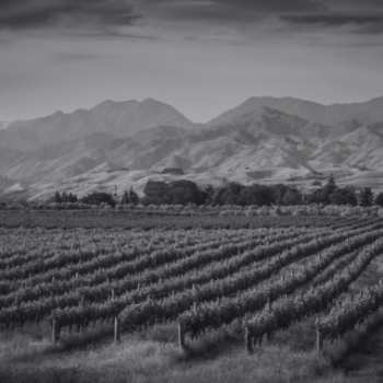 New Zealand