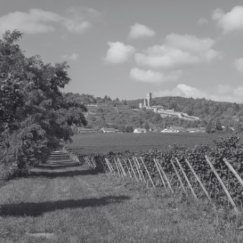 Pfalz