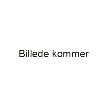 Lille Holmg�rd Bryghus Gave�ske m. 4 �l