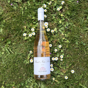 Villa Wolf 2025 Pinot Noir Ros�