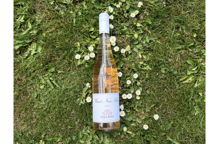 Villa Wolf 2025 Pinot Noir Ros�