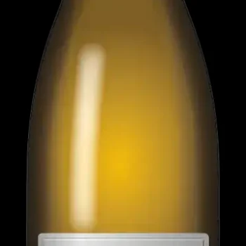  Les Vins de Viennes 2023 Amphore Viognier