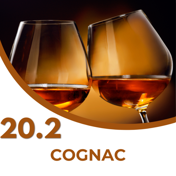 20.02.2026 Cognac