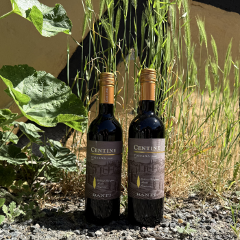 Banfi 2021 Centine Rosso