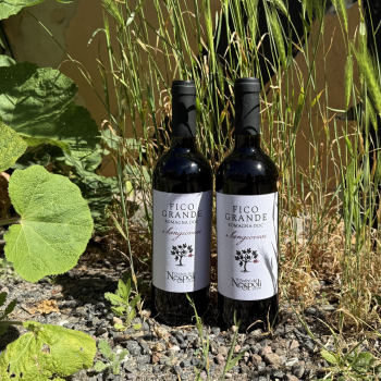 Poderi del Nespoli 2023 Fico Grande Sangiovese di Romagna