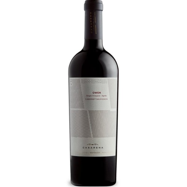 Bodegas Casarena 2019 Owen's Vineyard Cabernet Sauvignon