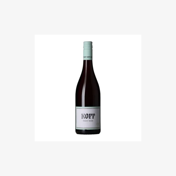 Kopp 2022 Pinot Noir