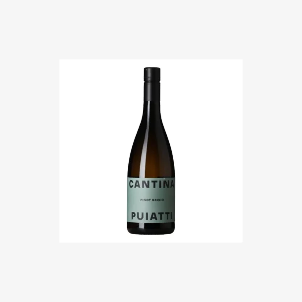 Cantina Puiatti 2022 Pinot Grigio DOC