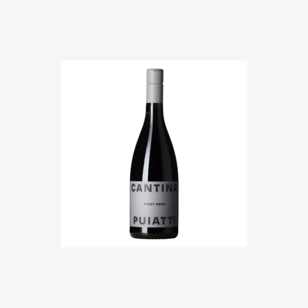Cantina Puiatti 2023 Pinot Nero DOC