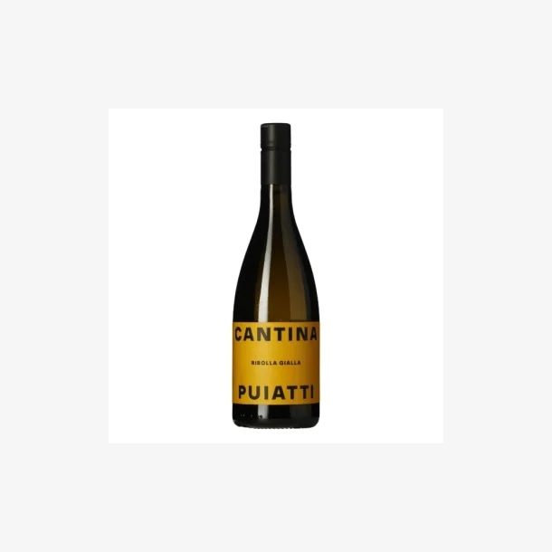 Cantina Puiatti 2023 Ribolla Gialla DOC