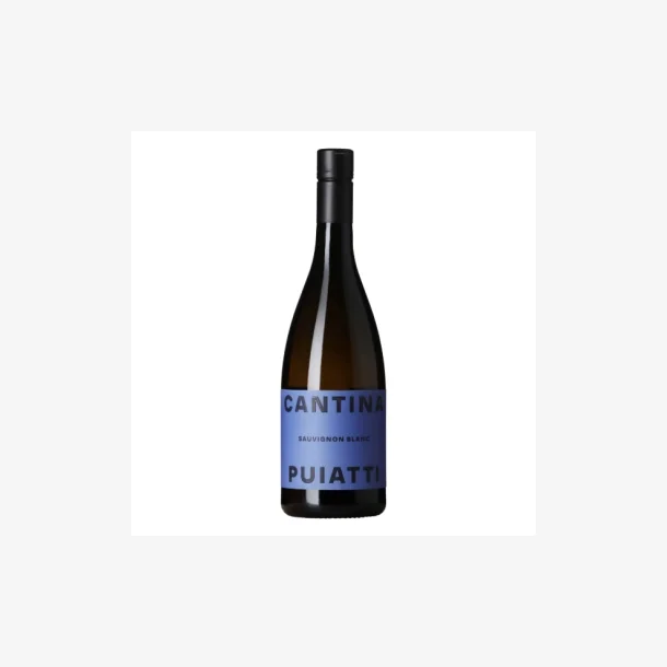 Cantina Puiatti 2024 Sauvignon Blanc DOC