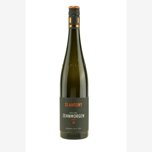 St. Antony 2022 Riesling Zehnmorgen GG BIO