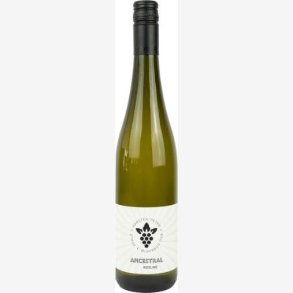 Weingut Karsten Peter 2022 Ancestral Riesling