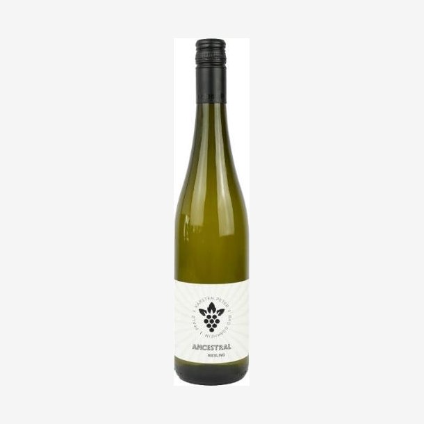 Weingut Karsten Peter 2022 Ancestral Riesling