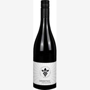Weingut Karsten Peter 2022 Ancestral Sp�tburgunder