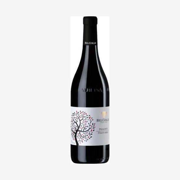 Bel Colle 2024 Pinot Nero