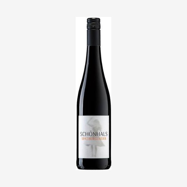 Weingut Schnhals 2021 Sptburgunder trocken