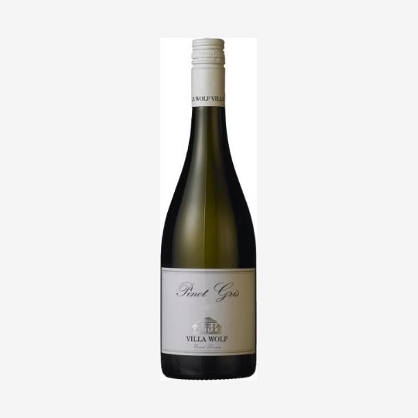 Villa Wolf 2024 Pinot Gris